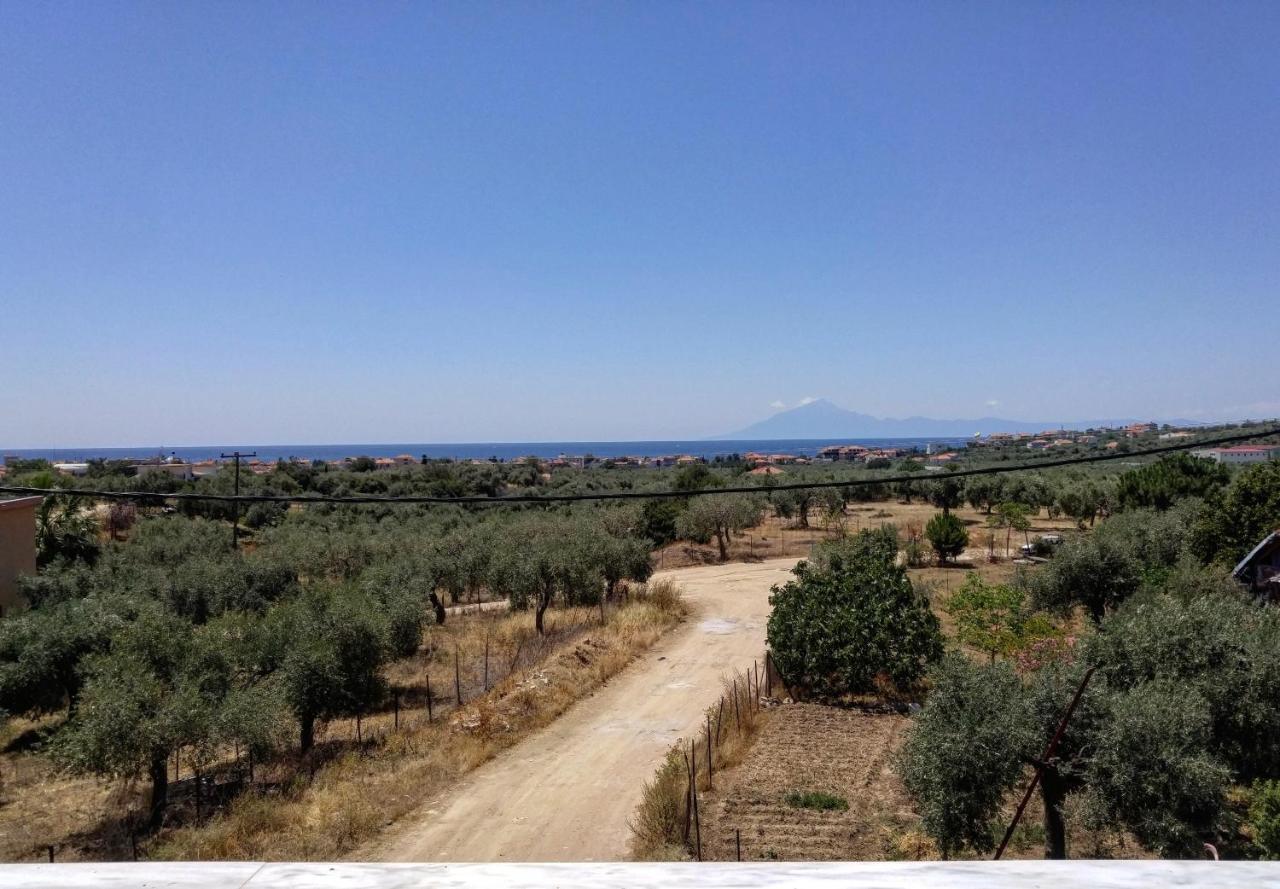 Olive Grove House Appartement Limenaria  Buitenkant foto